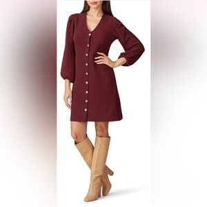 Madewell Womens Texture and Thread Dress Size XXS Maroon V Neck Balloon Sleeve